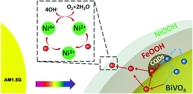 Graphical abstract: Carbon quantum dots as a visible light sensitizer to significantly increase the solar water splitting performance of bismuth vanadate photoanodes