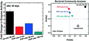 Graphical abstract: Effect of gold nanoparticles on extracellular nutrient-cycling enzyme activity and bacterial community in soil slurries: role of nanoparticle size and surface coating