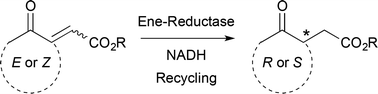 Graphical abstract: Biocatalytic access to nonracemic γ-oxo esters via stereoselective reduction using ene-reductases