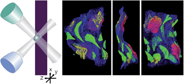 Graphical abstract: Combined 1D, 2D and 3D micro-XRF techniques for the analysis of illuminated manuscripts