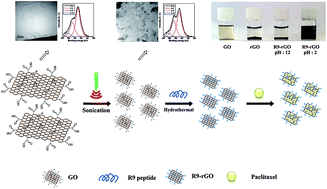 Graphical abstract: Functionalized R9–reduced graphene oxide as an efficient nano-carrier for hydrophobic drug delivery