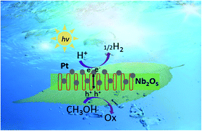 Graphical abstract: One-step synthesis of mesoporous Pt–Nb2O5 nanocomposites with enhanced photocatalytic hydrogen production activity