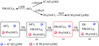 Graphical abstract: Cationic polymerization of isobutylene catalysed by AlCl3 with multiple nucleophilic reagents