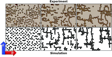 Graphical abstract: Multidirectional colloidal assembly in concurrent electric and magnetic fields