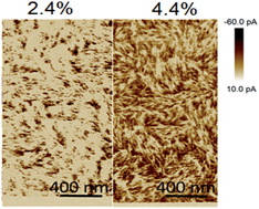 Graphical abstract: Inverted all-polymer solar cells based on a quinoxaline–thiophene/naphthalene-diimide polymer blend improved by annealing