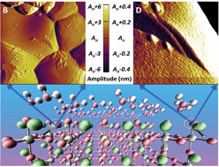 Graphical abstract: Effects of moisture on (La, A)MnO3 (A = Ca, Sr, and Ba) solid oxide fuel cell cathodes: a first-principles and experimental study