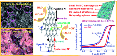 Graphical abstract: 2D Layered non-precious metal mesoporous electrocatalysts for enhanced oxygen reduction reaction