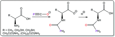 Graphical abstract: Amino acid functionalisation using the 2-phosphaethynolate anion. A facile route to (phosphanyl)carbonyl-amino acids