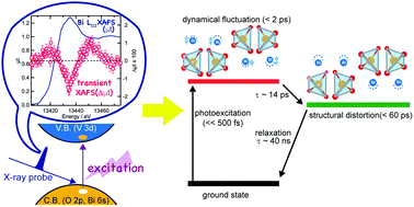 Graphical abstract: Capturing local structure modulations of photoexcited BiVO4 by ultrafast transient XAFS