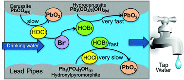 Graphical abstract: Bromide-assisted catalytic oxidation of lead(ii) solids by chlorine in drinking water distribution systems