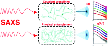 Graphical abstract: Influence of high energy electron irradiation on the network structure of gelatin hydrogels as investigated by small-angle X-ray scattering (SAXS)