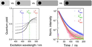 Graphical abstract: Excitation wavelength dependence of the photoluminescence quantum yield and decay behavior of CdSe/CdS quantum dot/quantum rods with different aspect ratios