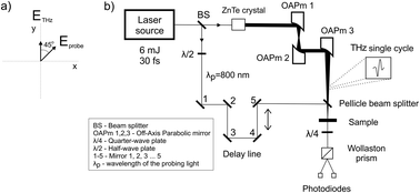 Graphical abstract: Direct observation of the THz Kerr effect (TKE) in deionized, distilled and buffered (PBS) water