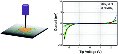 Graphical abstract: Hybrid heterojunctions between a 2D transition metal dichalcogenide and metal phthalocyanines: their energy levels vis-à-vis current rectification