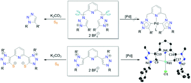 Graphical abstract: Palladium pincer-type complexes and zwitterionic sulfur adducts of pyridine-bridged bis(1,2,3-triazolin-5-ylidenes): syntheses, characterizations and catalytic applications