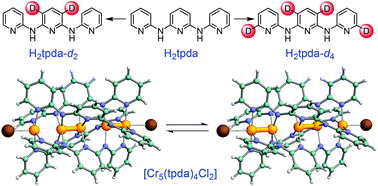 Graphical abstract: Solution structure of a pentachromium(ii) single molecule magnet from DFT calculations, isotopic labelling and multinuclear NMR spectroscopy