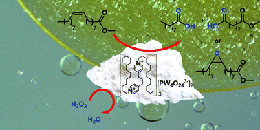 Graphical abstract: Amphiphilic dipyridinium-phosphotungstate as an efficient and recyclable catalyst for triphasic fatty ester epoxidation and oxidative cleavage with hydrogen peroxide