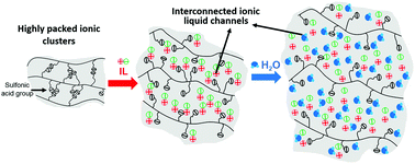 Graphical abstract: Nafion/IL hybrid membranes with tuned nanostructure for enhanced CO2 separation: effects of ionic liquid and water vapor