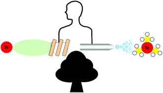 Graphical abstract: Biology and toxicology of tellurium explored by speciation analysis