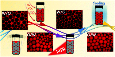 Graphical abstract: Synergetic regulation of CO2 and light for controllable inversion of Pickering emulsions