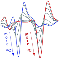 Graphical abstract: Amyloid β-peptides 1–40 and 1–42 form oligomers with mixed β-sheets