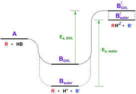 Graphical abstract: Catalyst characterization in the presence of solvent: development of liquid phase structure–activity relationships