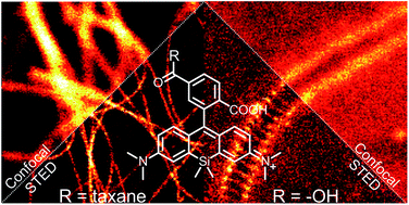 Graphical abstract: Fluorescent dyes and probes for super-resolution microscopy of microtubules and tracheoles in living cells and tissues