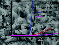 Graphical abstract: A MnCo2S4 nanowire array as an earth-abundant electrocatalyst for an efficient oxygen evolution reaction under alkaline conditions
