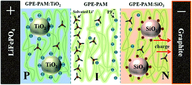 Graphical abstract: Diode-like gel polymer electrolytes for full-cell lithium ion batteries