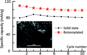 Graphical abstract: Biotemplating: a sustainable synthetic methodology for Na-ion battery materials