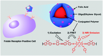 Graphical abstract: Triblock near-infrared fluorescent polymer semiconductor nanoparticles for targeted imaging