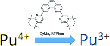 Graphical abstract: Plutonium coordination and redox chemistry with the CyMe4-BTPhen polydentate N-donor extractant ligand