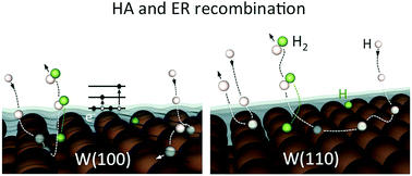 Graphical abstract: Energy dissipation to tungsten surfaces upon hot-atom and Eley–Rideal recombination of H2