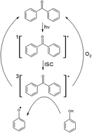 Graphical abstract: An experimental methodology to measure the reaction rate constants of processes sensitised by the triplet state of 4-carboxybenzophenone as a proxy of the triplet states of chromophoric dissolved organic matter, under steady-state irradiation conditions