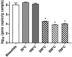 Graphical abstract: Effect of pyrolysis on the removal of antibiotic resistance genes and class I integrons from municipal wastewater biosolids