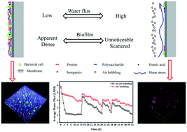 Graphical abstract: Air bubbling for membrane fouling control in a submerged direct forward osmosis system for municipal wastewater treatment