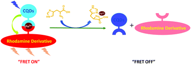 Graphical abstract: A carbon quantum dot and rhodamine-based ratiometric fluorescent complex for the recognition of histidine in aqueous systems