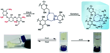 Graphical abstract: All-small-molecule dynamic covalent hydrogels with multistimuli responsiveness