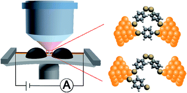 Graphical abstract: Electrical and SERS detection of disulfide-mediated dimerization in single-molecule benzene-1,4-dithiol junctions