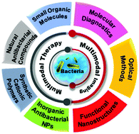 Graphical abstract: Multifunctional bacterial imaging and therapy systems