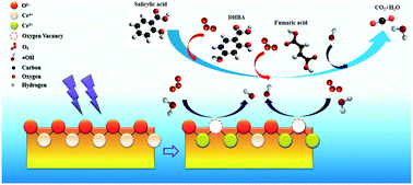 Graphical abstract: Promoting surface oxygen vacancies on ceria via light pretreatment to enhance catalytic ozonation