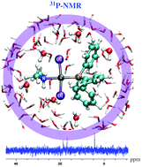 Graphical abstract: Four-component relativistic 31P NMR calculations for trans-platinum(ii) complexes: importance of the solvent and dynamics in spectral simulations