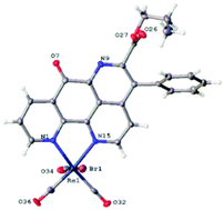 Graphical abstract: Tuning the reaction pathways of phenanthroline-Schiff bases: routes to novel phenanthroline ligands