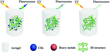 Graphical abstract: A 3D net-like structured fluorescent aerogel based on carboxy-methylated cellulose nanofibrils and carbon dots as a highly effective adsorbent and sensitive optical sensor of Cr(vi)