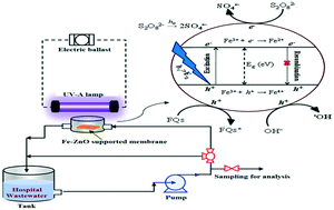 Graphical abstract: Enhanced removal of antibiotics in hospital wastewater by Fe–ZnO activated persulfate oxidation