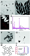 Graphical abstract: AlPcS-loaded gold nanobipyramids with high two-photon efficiency for photodynamic therapy in vivo