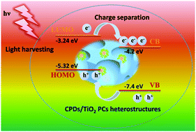 Graphical abstract: Carbonized polymer dots/TiO2 photonic crystal heterostructures with enhanced light harvesting and charge separation for efficient and stable photocatalysis