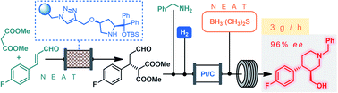 Graphical abstract: Multigram-scale flow synthesis of the chiral key intermediate of (−)-paroxetine enabled by solvent-free heterogeneous organocatalysis