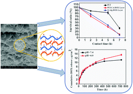 Graphical abstract: Construction of multilayer films with bactericidal and long-term antitumor drug release properties as a non-vascular stent coating for therapy in obstruction
