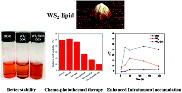 Graphical abstract: WS2 nanosheets functionalized by biomimetic lipids with enhanced dispersibility for photothermal and chemo combination therapy